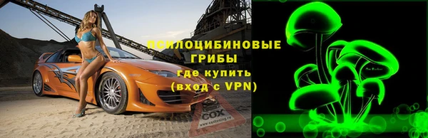 ПСИЛОЦИБИНОВЫЕ ГРИБЫ Осинники