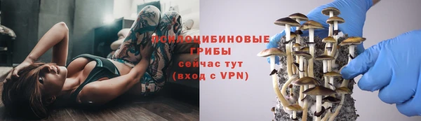 не бодяженный Нязепетровск