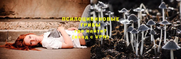 таблы Няндома