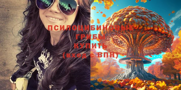 не бодяженный Нязепетровск