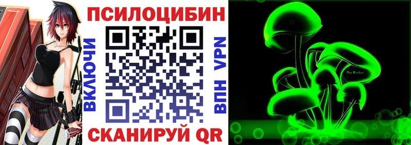Купить закладки  Городище  Псилоцибиновые грибы Magic Shrooms 
